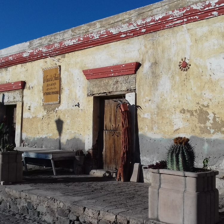 Viaje a Baja California  Nadiu Viatges Turismo Responsable