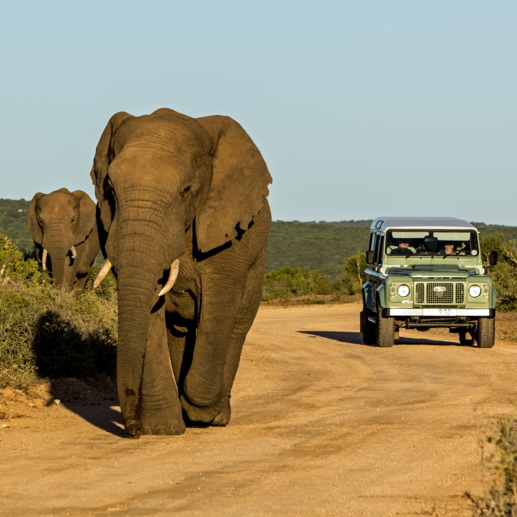 Viatge a Sud-àfrica Nadiu Viatges Turismo Responsable