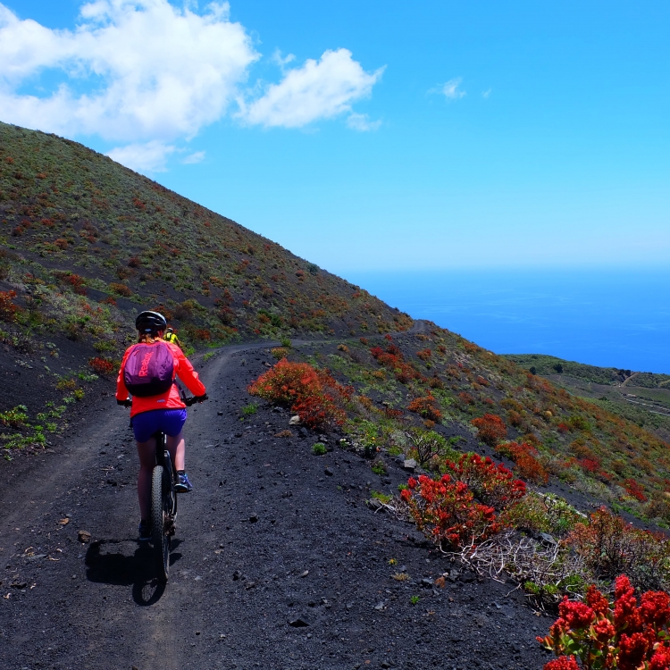 VIATGE A LA PALMA NADIU VIATGES TURISME RESPONSABLE VIATGE A LA PALMA NADIU VIATGES TURISME RESPONSABLE