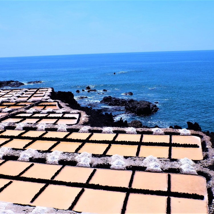 VIATGE A LA PALMA NADIU VIATGES TURISME RESPONSABLE VIATGE A LA PALMA NADIU VIATGES TURISME RESPONSABLE