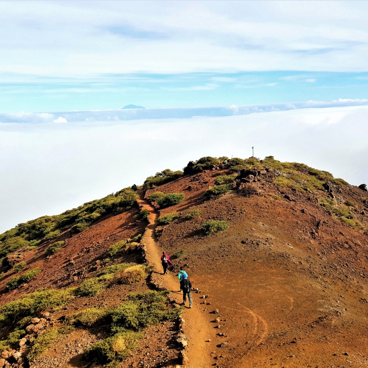 VIATGE A LA PALMA NADIU VIATGES TURISME RESPONSABLE VIATGE A LA PALMA NADIU VIATGES TURISME RESPONSABLE
