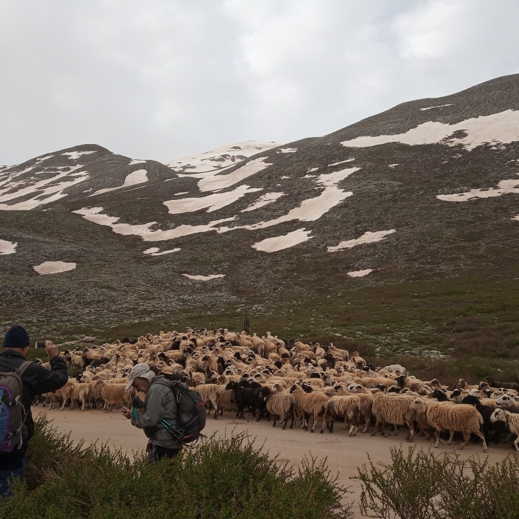 Viaje en grupo a Creta Nadiu Viatges Turismo Responsable