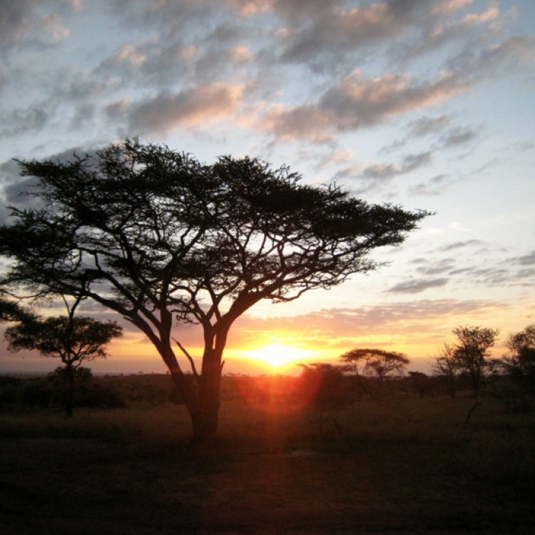 viatge kenya nadiu viatges turisme responsable