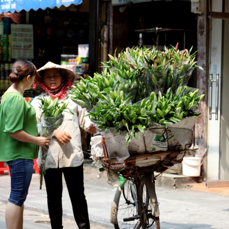 Viaje Vietnam Nadiu Viatges Turismo Responsable